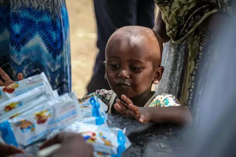 What you need to know about the food crisis image