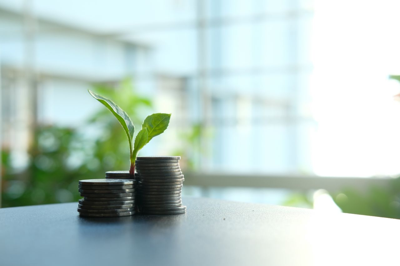 The Art of Drawing Readers In: Your attractive post title goes here A small plant sprouting from stacked silver coins, symbolizing growth in finance.